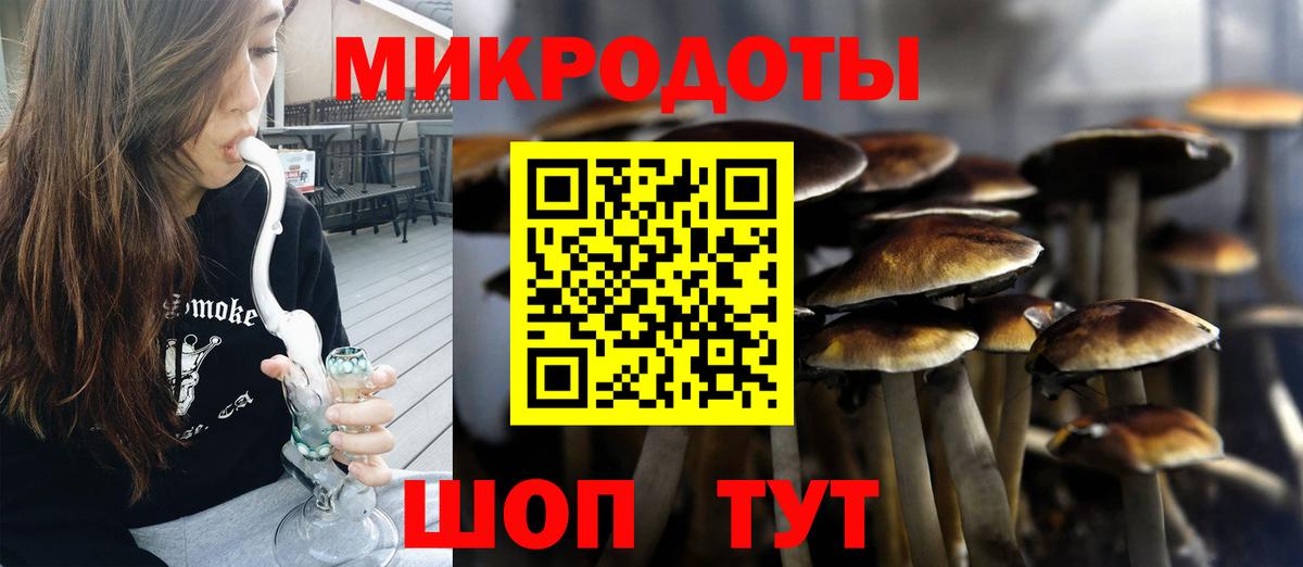 Галлюциногенные грибы мухоморы  Вход с VPN  Галлюциногенные грибы Psilocybine cubensis  Трёхгорный 